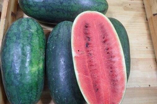 黑了su吃瓜网,揭秘娱乐圈幕后真相，带你走进明星生活