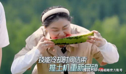 勤奋吃瓜人,我的多彩岁月