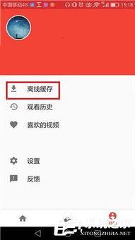 把头条视频删除会怎样,“头条视频被删除后的影响与应对策略揭秘”