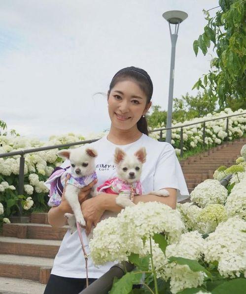 争当小明星作品介绍,梦想舞台上的青春绽放