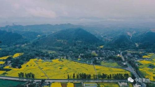 崇州网红游泳地址,畅游诗意水世界，邂逅夏日清凉时光