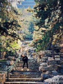 明星景区照,光影映照下的绝美风光