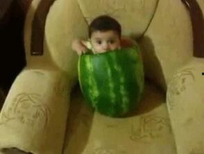 网络吃瓜图,揭秘娱乐圈幕后真相