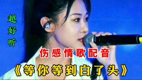 超好听的网红催泪情歌