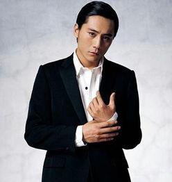 河南 男明星,河南籍男明星风采掠影