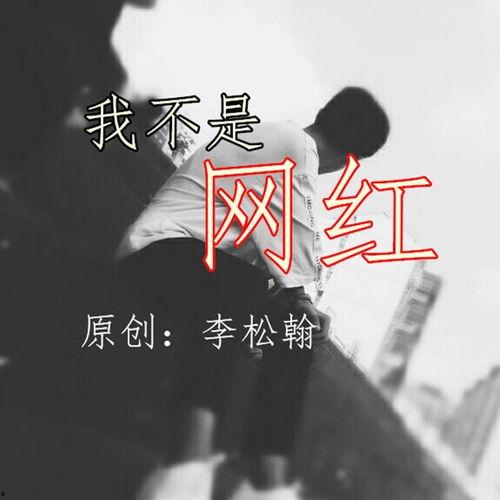 我是网红图片,我是网红，闪耀网络舞台