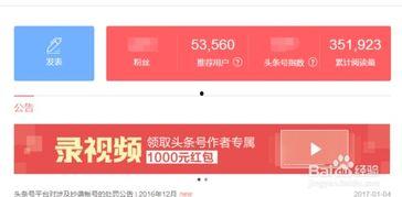 头条怎么开放自媒体账号,头条账号开放指南