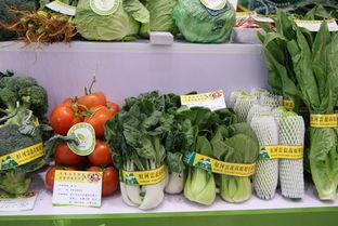 杭州网红农产品品牌,品味都市田园，解锁舌尖上的新潮流