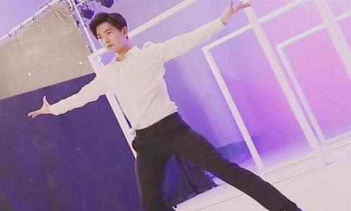 中国最会跳舞的男明星,揭秘中国最会跳舞的男明星风采