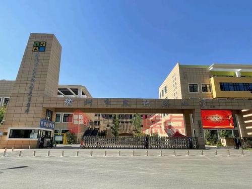 哪里能买到网红加特琳,网红加特琳周边产品购买指南