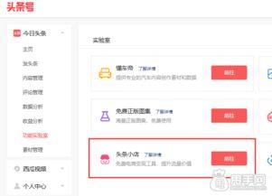 如何加入我的头条小店,揭秘如何快速加入我的头条小店