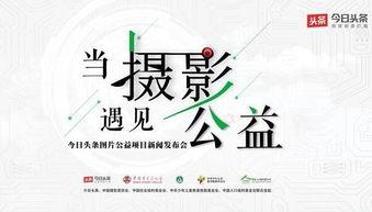 头条公益计划怎么写