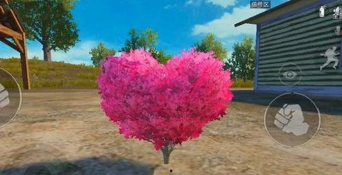 网红飞行树介绍,空中奇观，带你领略自然之美