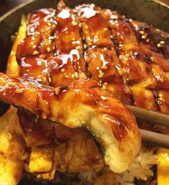 怎么看鳗鱼料的好坏,鳗鱼料品质鉴别的关键要素解析