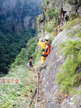 广西平天山新闻头条,生态旅游新亮点，绿色崛起助力乡村振兴