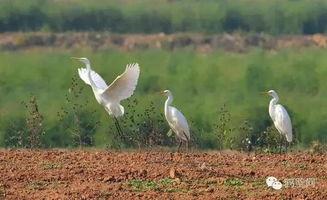 秦皇岛汤河新闻头条
