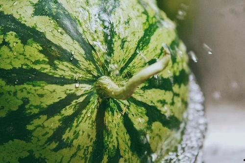 保洁拖地吃瓜,品味生活——保洁拖地吃瓜的悠闲时光