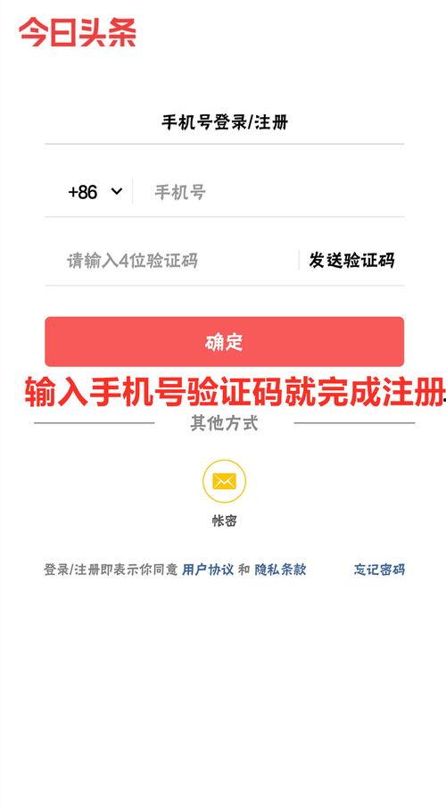 怎样维护优质的头条账号,全方位维护指南