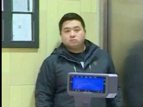 胖虎网不红,揭秘网络红人背后的故事