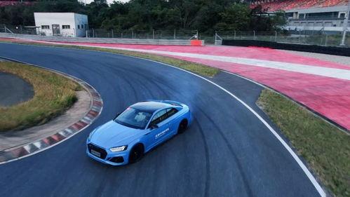 明星专业车手,速度与激情的传奇人生