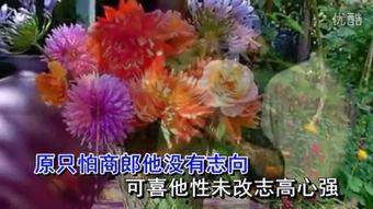 心花 在线观看,在线观看情感之旅