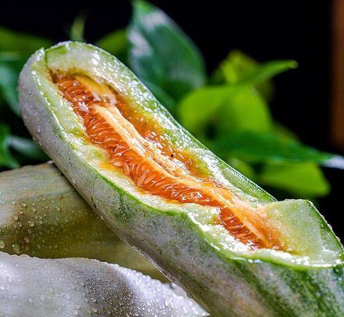 报恩瓜什么品种推荐吃,报恩瓜品种推荐，解锁夏日清新口感