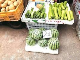 百元瓜咋吃,创意美食探索之旅