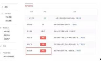 优质内容怎么加入头条号,如何轻松加入头条号，打造爆款文章