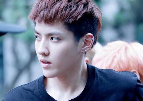 男团单飞的明星,男星们的独立征程