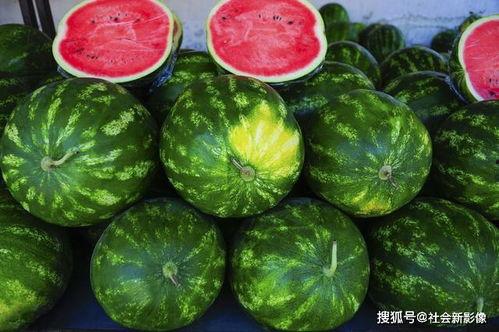 阳瓜什么季节吃,夏季消暑佳品，营养美味两不误