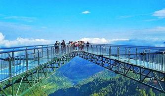 奥陶纪网红景点咨询,网红景点带你穿越亿年时光之旅